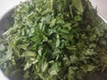 Palak or spinach Royalty Free Stock Photo