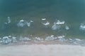 Palanga Lietuva Baltic Sea Seaside Aerial drone top view