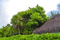 Palapa roof resort in tropical beach Playa del Carmen Mexico Royalty Free Stock Photo