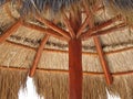 Palapa Royalty Free Stock Photo