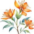 Palash flower, watercolor painting of Palash flower. AI-Generated.