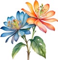 Palash flower, watercolor painting of Palash flower. AI-Generated.