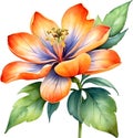 Palash flower, watercolor painting of Palash flower. AI-Generated.