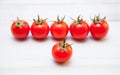 Palatable fresh tomatoes Royalty Free Stock Photo