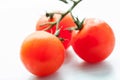 Palatable fresh tomatos Royalty Free Stock Photo