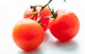 Palatable fresh tomatos Royalty Free Stock Photo