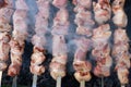 Palatable meat char-grilled on metal skewers