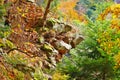 In Palatinate Forest in autumn Royalty Free Stock Photo