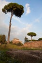 Palatine Hill