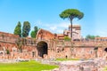 Palatine stadium - Hippodrome of Domitian. Palatine Hill archaeological site, Rome, Italy Royalty Free Stock Photo