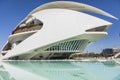 Palau de les Arts Reina SofÃÂ­a, opera building of Valencia, Spain