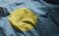 Palau Flag Rumpled Close Up