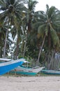 Coconut trees and boats at Sabang beach in Puerto Princesa, Palawan, Philippines Royalty Free Stock Photo