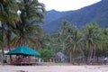 Coconut trees and sands at Sabang beach in Puerto Princesa, Palawan, Philippines Royalty Free Stock Photo