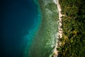 Palawan, Philippines, El Nido. Aerial drone top down view of a secluded deserted tropical beach with coconut palm trees Royalty Free Stock Photo