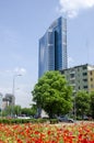 Palazzo Lombardia, seen from the Biblioteca degli Alberi BAM, park