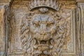 Palazzo pitti lion Royalty Free Stock Photo