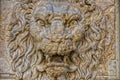 Palazzo pitti lion Royalty Free Stock Photo