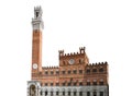 Palazzo Pubblico Town Hall in Siena Tuscany, Italy isolated on white background Royalty Free Stock Photo