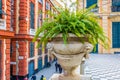 Palazzo rosso and a flower pot in Genoa, Italy...IMAGE