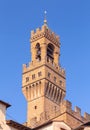 Palazzo Vecchio and Arnolfo Tower in Florence early in the morning.