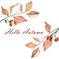 Pale berries and autumn leaves - horizontal botanical design banner. Floral pastel watercolor border frame. Hello autumn