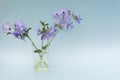 Pale blue bouquet of spring flowers on a blue background, close-up. .Minimalism Horizontal photo, soft focus. Idea -