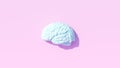 Pale Blue Human Brain Anatomy Neurology Mind Intelligence Think Medical Symbol Pink Side View Background