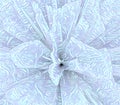 pale blue and white patterned floral fantasy