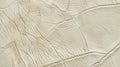 Pale cream leather with a rough tree barklike texture adding a rugged and natural element to the embossing Royalty Free Stock Photo