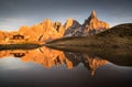 Pale di San Martino Royalty Free Stock Photo
