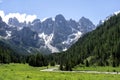 Pale di San Martino range panorama landscape during summer season. Passo Rolle summer landscape - Pale di San Martino range.