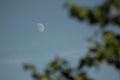 Pale half-moon visible in the bright blue sky during daytime with blurred leaves on the side Royalty Free Stock Photo