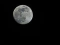 A Pale moon on the night sky Royalty Free Stock Photo