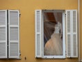 Pale orange facade with a headless mannequin in a window