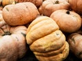 Pale orange gourds stacked together