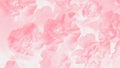 Pale pink abstract background. Floral gradient background, delicate carnation flowers pattern, 16:9 panoramic format Royalty Free Stock Photo