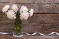 Pale pink asters in a glass vase with a ribbon Royalty Free Stock Photo