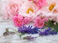 Pale pink and bright pink roses and tufted vetch Royalty Free Stock Photo