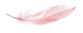 A pale pink feather with a gradient from light to dark, floating gently in the air against a pure Royalty Free Stock Photo