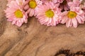 Pale pink flowers on a wooden table