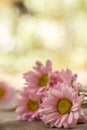 Pale pink flowers on a wooden table