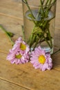 Pale pink flowers on a wooden table