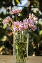 Pale pink flowers on a wooden table