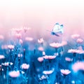 Pale pink forest flowers and butterfly on a background of blue leaves and stems. Artistic natural macro image.