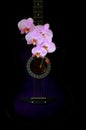 Music and flowers concept with a acoustic guitar and pink orchids