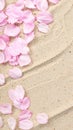 Pale Pink Petals on Grainy Sand Background in Soft Light for a Natural Spring Theme Royalty Free Stock Photo