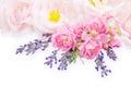 Pale pink roses and lavender bouquet Royalty Free Stock Photo