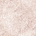 Pale Rough Grunge Wall. Beige Dirt Wallpaper. Royalty Free Stock Photo