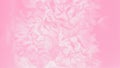 Pale pink abstract background. Floral gradient background, delicate carnation flowers pattern, 16:9 panoramic format Royalty Free Stock Photo
